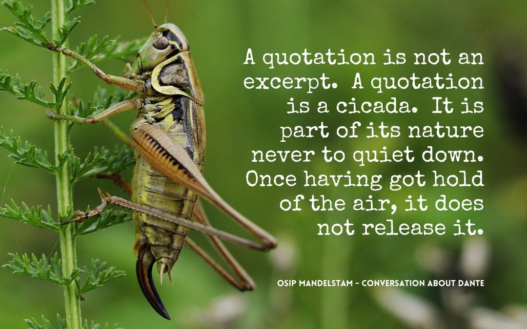 A quotation is a cicada - www.writingredux.com